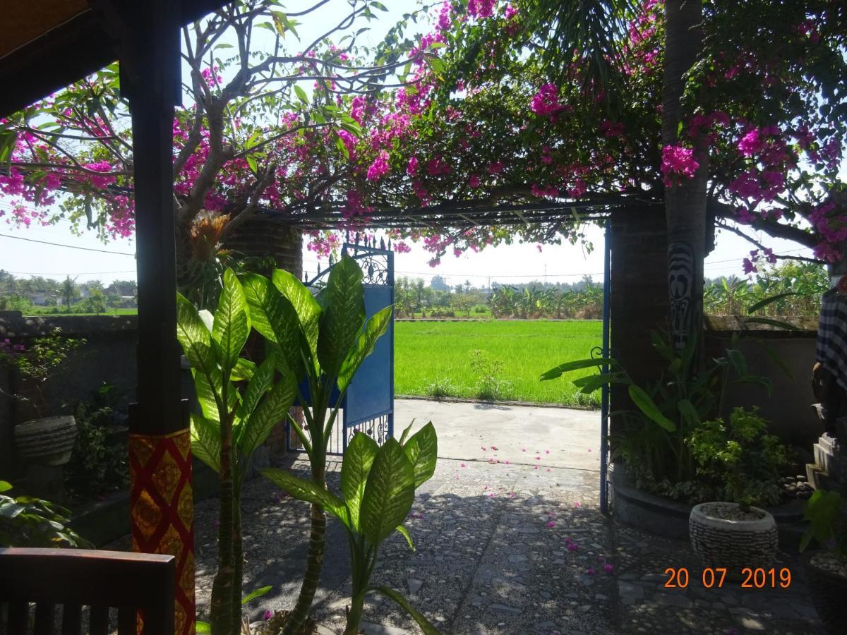 Villa Murni Lovina  Exterior photo